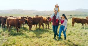Familie, Bauernhof und Urlaub mit einem Mädchen, Mutter und Vater, die auf einer Wiese mit Kühen spazieren gehen.